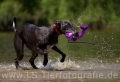 04 Wasseraction